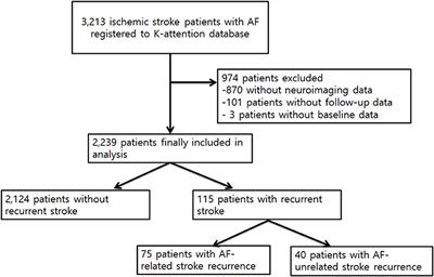 Atrial Fibrillation Related and Unrelated Stroke Recurrence Among Ischemic Stroke Patients With Atrial Fibrillation